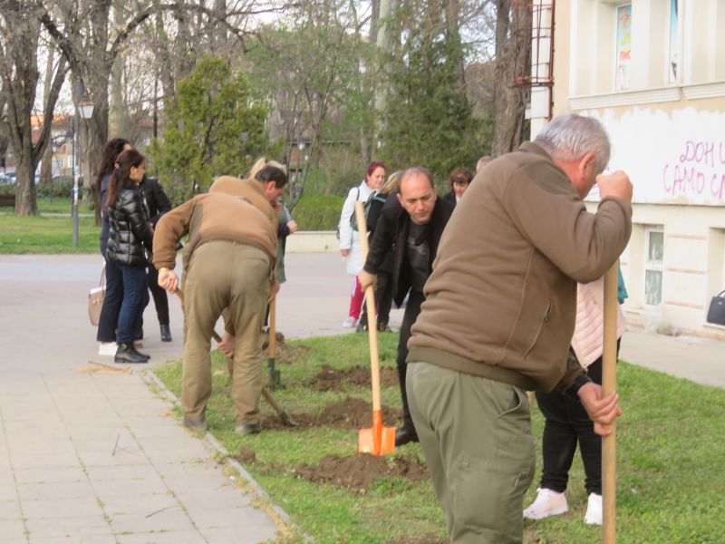 30 борчета и два кедъра с дом пред Минералната баня